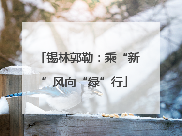 锡林郭勒：乘“新”风向“绿”行