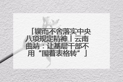 锲而不舍落实中央八项规定精神丨云南曲靖：让基层干部不用“围着表格转”