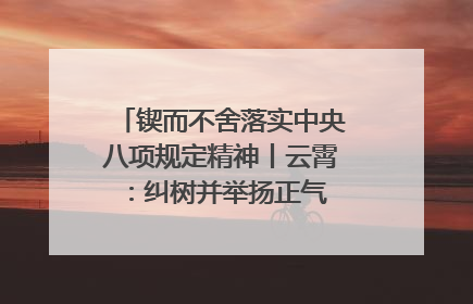 锲而不舍落实中央八项规定精神丨云霄：纠树并举扬正气 作风建设谱新章