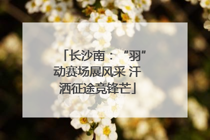 长沙南：“羽”动赛场展风采 汗洒征途竞锋芒