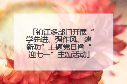 镇江多部门开展“学先进、强作风、建新功”主题党日暨“迎七一”主题活动