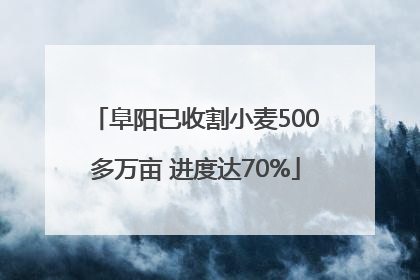 阜阳已收割小麦500多万亩 进度达70%