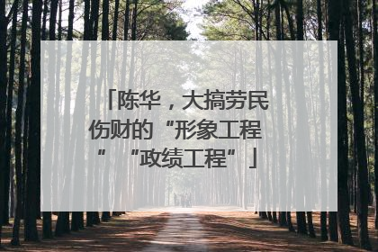 陈华，大搞劳民伤财的“形象工程”“政绩工程”