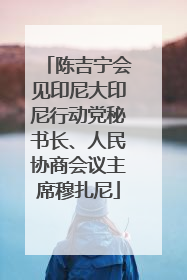 陈吉宁会见印尼大印尼行动党秘书长、人民协商会议主席穆扎尼