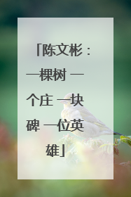 陈文彬：一棵树 一个庄 一块碑 一位英雄