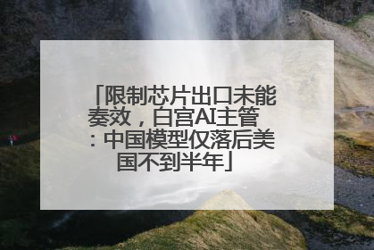 限制芯片出口未能奏效，白宫AI主管：中国模型仅落后美国不到半年