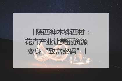 陕西神木铧西村：花卉产业让美丽资源变身“致富密码”