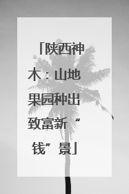 陕西神木：山地果园种出致富新“钱”景