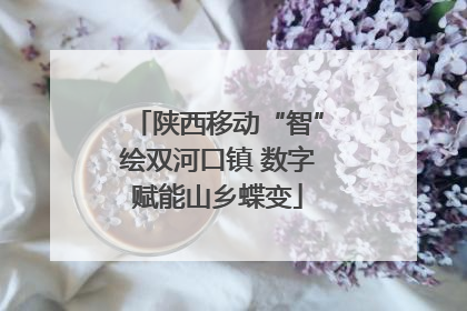 陕西移动“智”绘双河口镇 数字赋能山乡蝶变