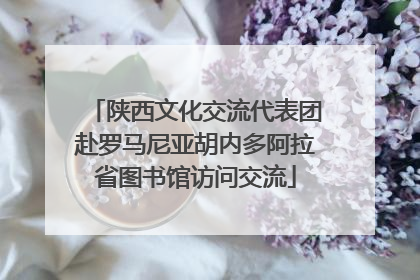 陕西文化交流代表团赴罗马尼亚胡内多阿拉省图书馆访问交流