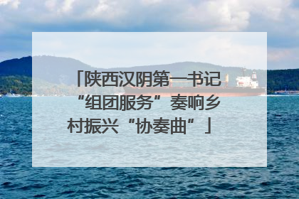 陕西汉阴第一书记“组团服务”奏响乡村振兴“协奏曲”