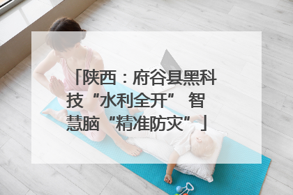 陕西：府谷县黑科技“水利全开” 智慧脑“精准防灾”