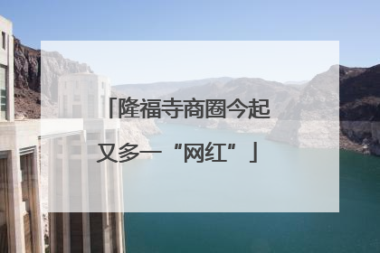 隆福寺商圈今起又多一“网红”