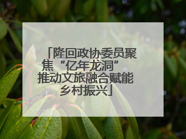 隆回政协委员聚焦“亿年龙洞” 推动文旅融合赋能乡村振兴