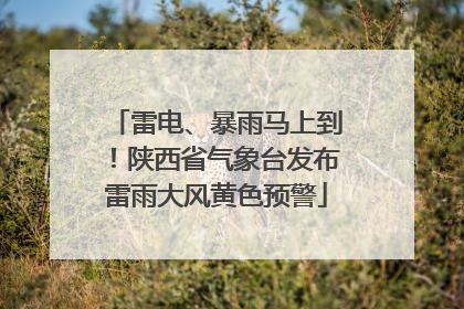 雷电、暴雨马上到！陕西省气象台发布雷雨大风黄色预警