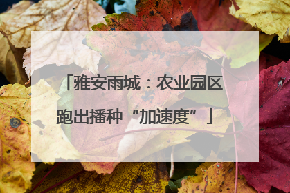 雅安雨城：农业园区跑出播种“加速度”