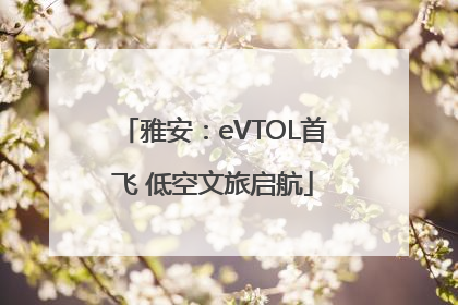 雅安：eVTOL首飞 低空文旅启航