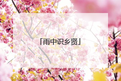 雨中识乡贤