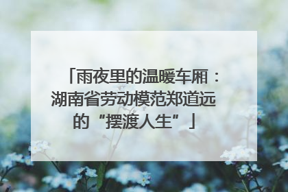 雨夜里的温暖车厢：湖南省劳动模范郑道远的“摆渡人生”