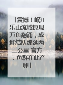 震撼！岷江乐山流域惊现万鱼翻涌，成群结队绵延两三公里 官方：鱼群在此产卵