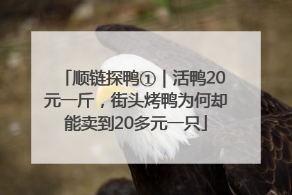 顺链探鸭①｜活鸭20元一斤，街头烤鸭为何却能卖到20多元一只