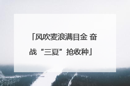 风吹麦浪满目金 奋战“三夏”抢收种