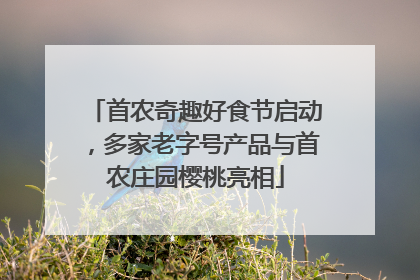 首农奇趣好食节启动，多家老字号产品与首农庄园樱桃亮相