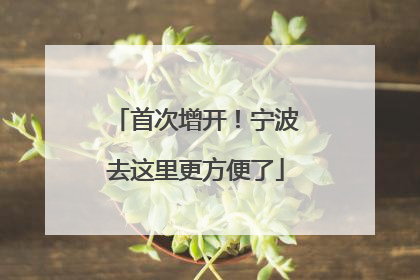 首次增开！宁波去这里更方便了