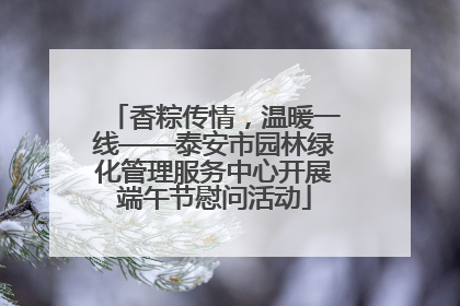 香粽传情，温暖一线——泰安市园林绿化管理服务中心开展端午节慰问活动