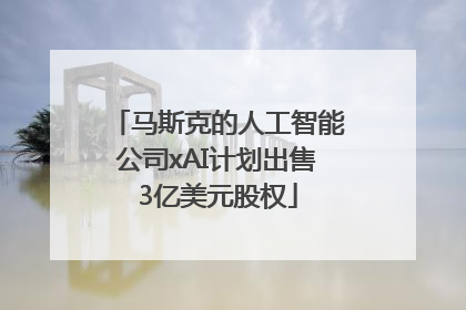 马斯克的人工智能公司xAI计划出售3亿美元股权