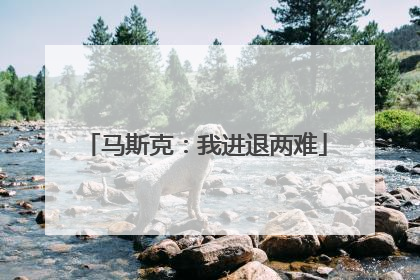马斯克：我进退两难