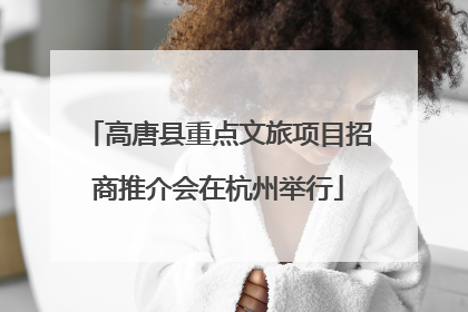 高唐县重点文旅项目招商推介会在杭州举行