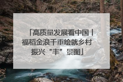 高质量发展看中国丨福稻金浪千重绘就乡村振兴“丰”景图