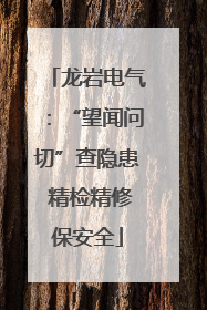 龙岩电气：“望闻问切”查隐患 精检精修保安全