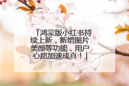 鸿蒙版小红书持续上新，新增图片美颜等功能，用户心愿加速成真！