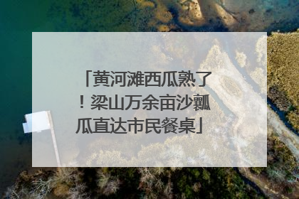 黄河滩西瓜熟了！梁山万余亩沙瓤瓜直达市民餐桌