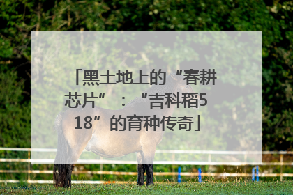 黑土地上的“春耕芯片”：“吉科稻518”的育种传奇