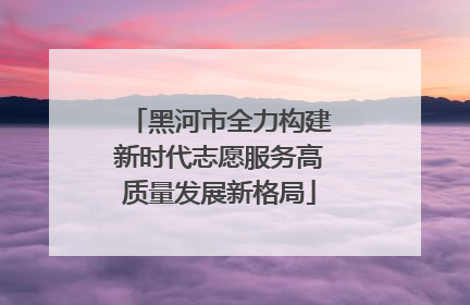 黑河市全力构建新时代志愿服务高质量发展新格局