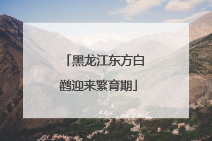 黑龙江东方白鹳迎来繁育期