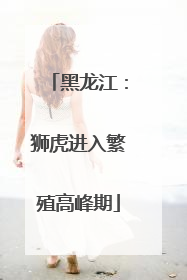 黑龙江：狮虎进入繁殖高峰期