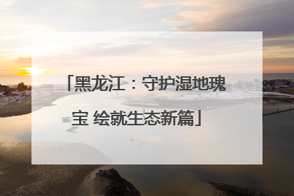 黑龙江：守护湿地瑰宝 绘就生态新篇