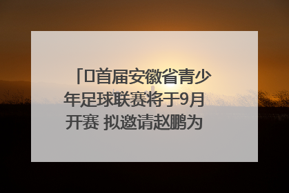 ﻿首届安徽省青少年足球联赛将于9月开赛 拟邀请赵鹏为先导赛开球