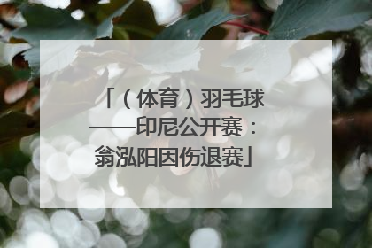 （体育）羽毛球——印尼公开赛：翁泓阳因伤退赛
