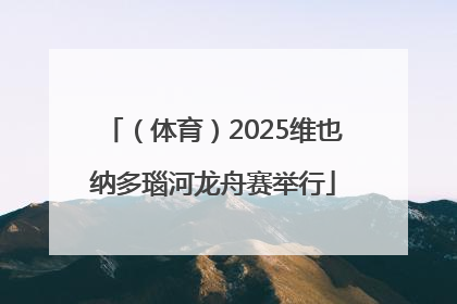 （体育）2025维也纳多瑙河龙舟赛举行