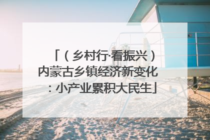 （乡村行·看振兴）内蒙古乡镇经济新变化：小产业累积大民生