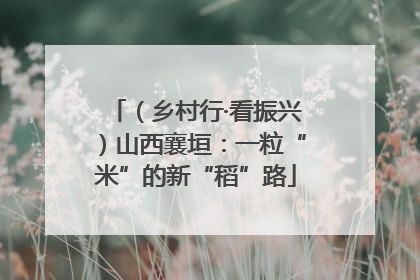 （乡村行·看振兴）山西襄垣：一粒“米”的新“稻”路