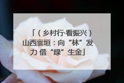 （乡村行·看振兴）山西襄垣：向“林”发力 借“绿”生金