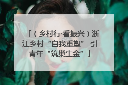 （乡村行·看振兴）浙江乡村“自我重塑” 引青年“筑巢生金”