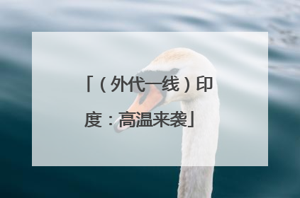 （外代一线）印度：高温来袭
