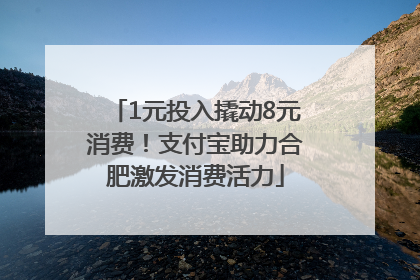 1元投入撬动8元消费！支付宝助力合肥激发消费活力